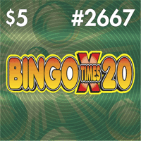Bingo Times 20, Texas scratch ticket game 2667